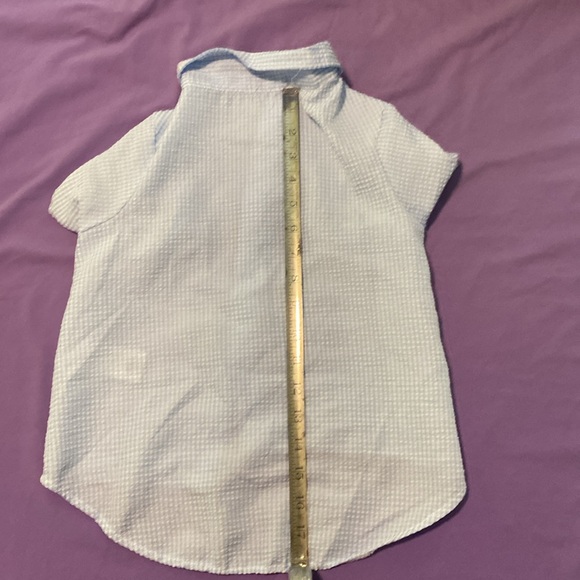 Woof brand new without tags, summer seersucker, dog shirt - Picture 3 of 4